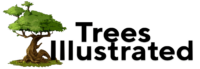 Trees illustrated logo